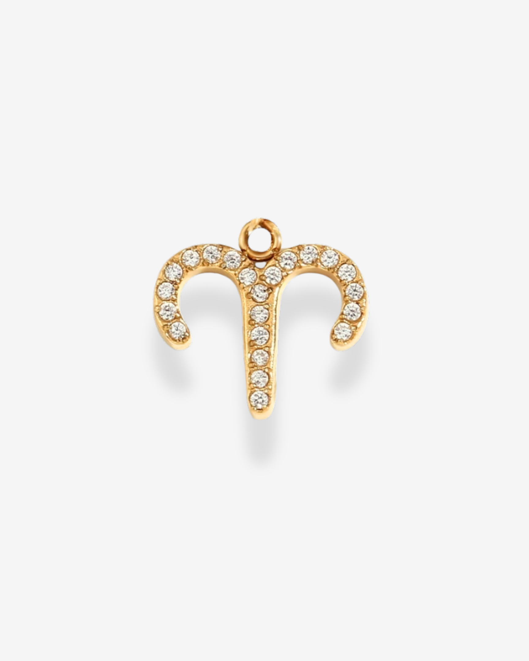 Charm Sparkle Zodiac