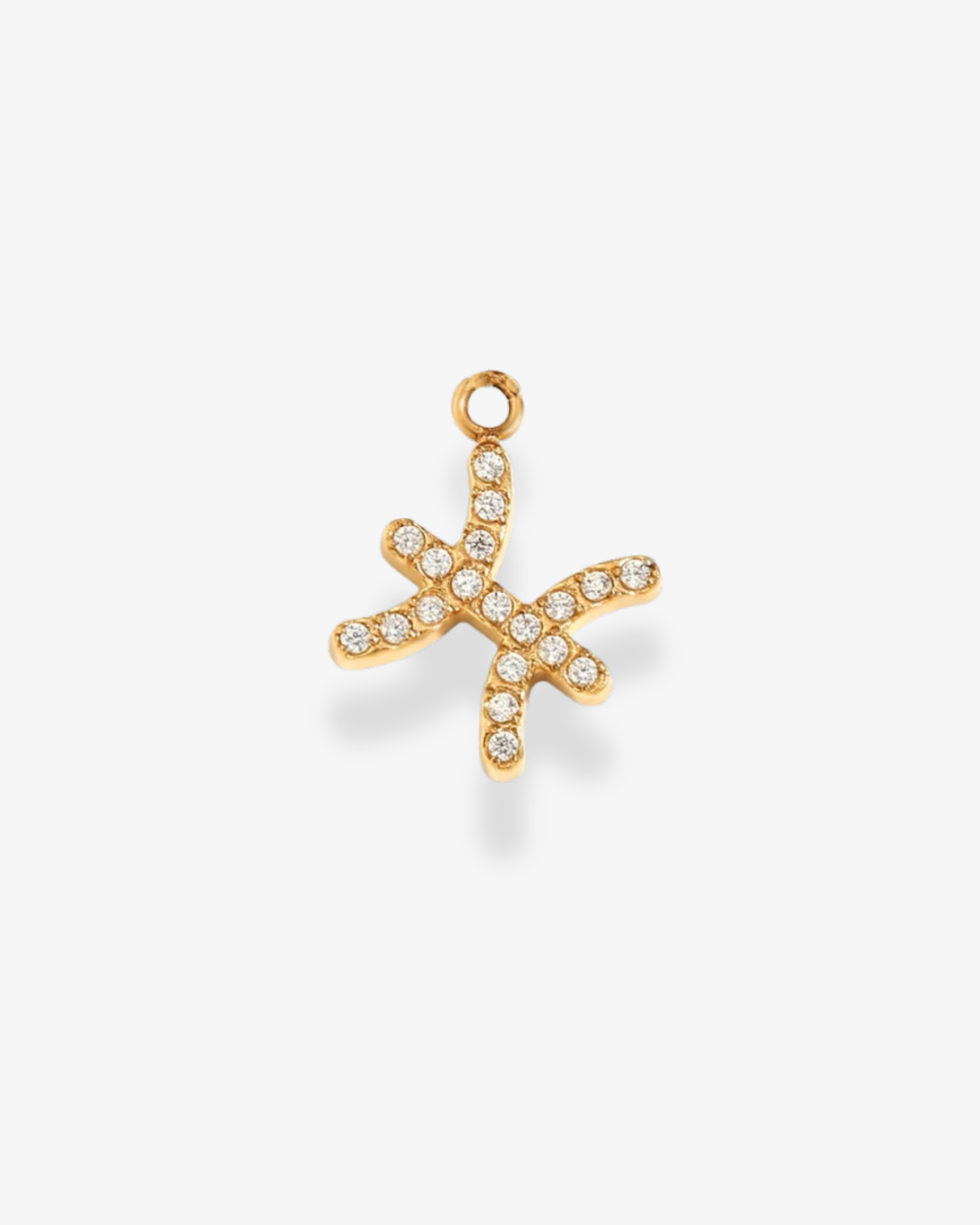 Charm Sparkle Zodiac