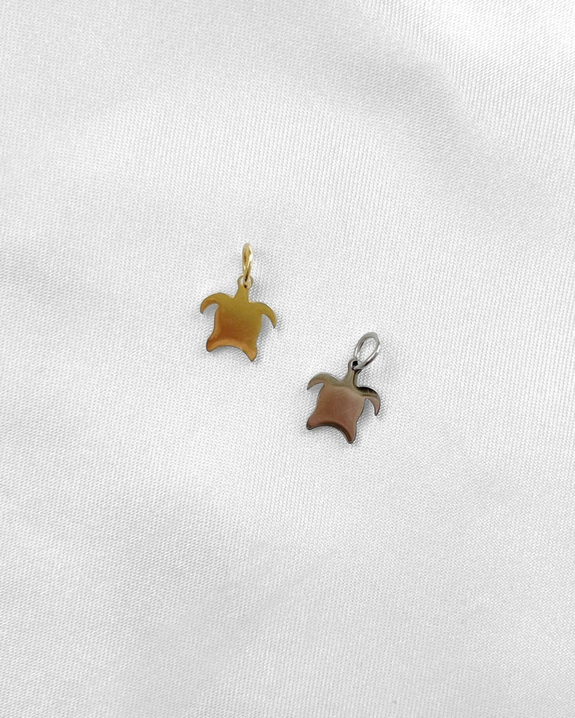 Charm Tiny Turtle