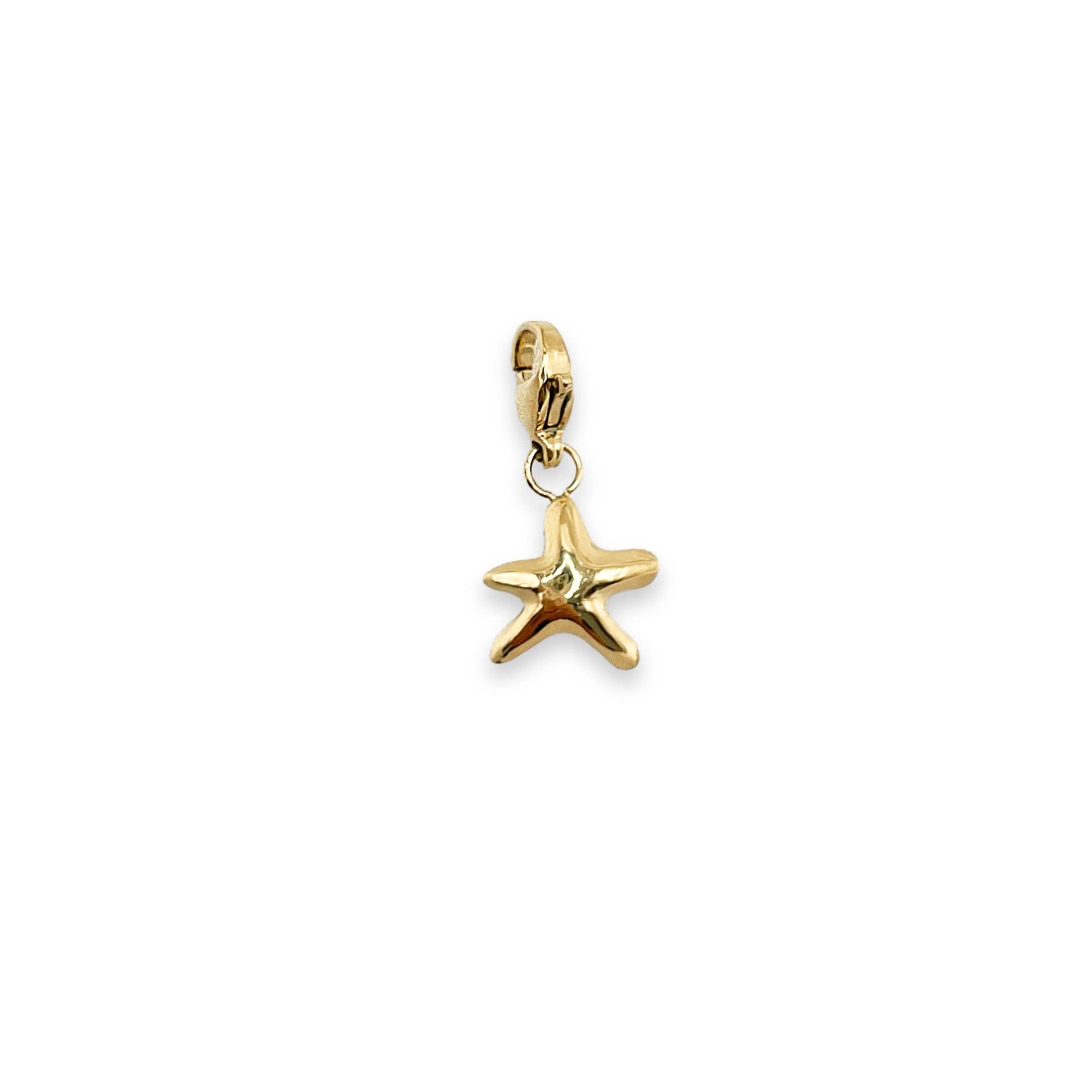 Charm Ocean Star
