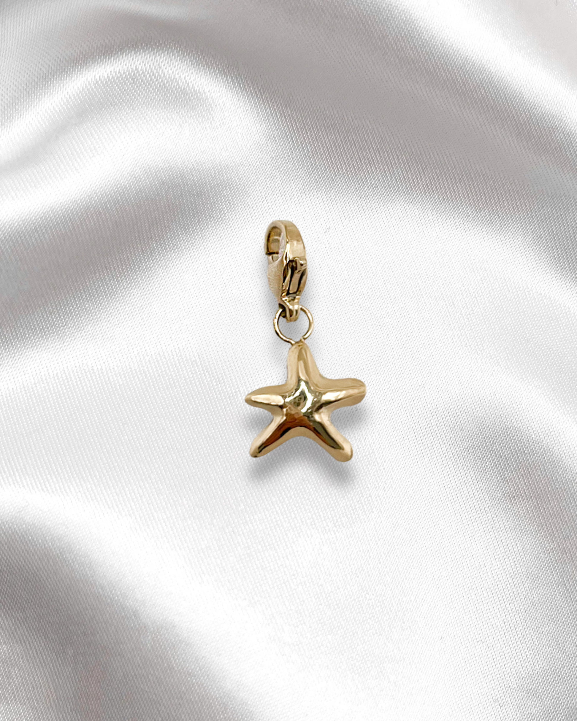 Charm Ocean Star