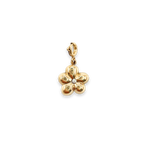 Charm Bloomy Shine