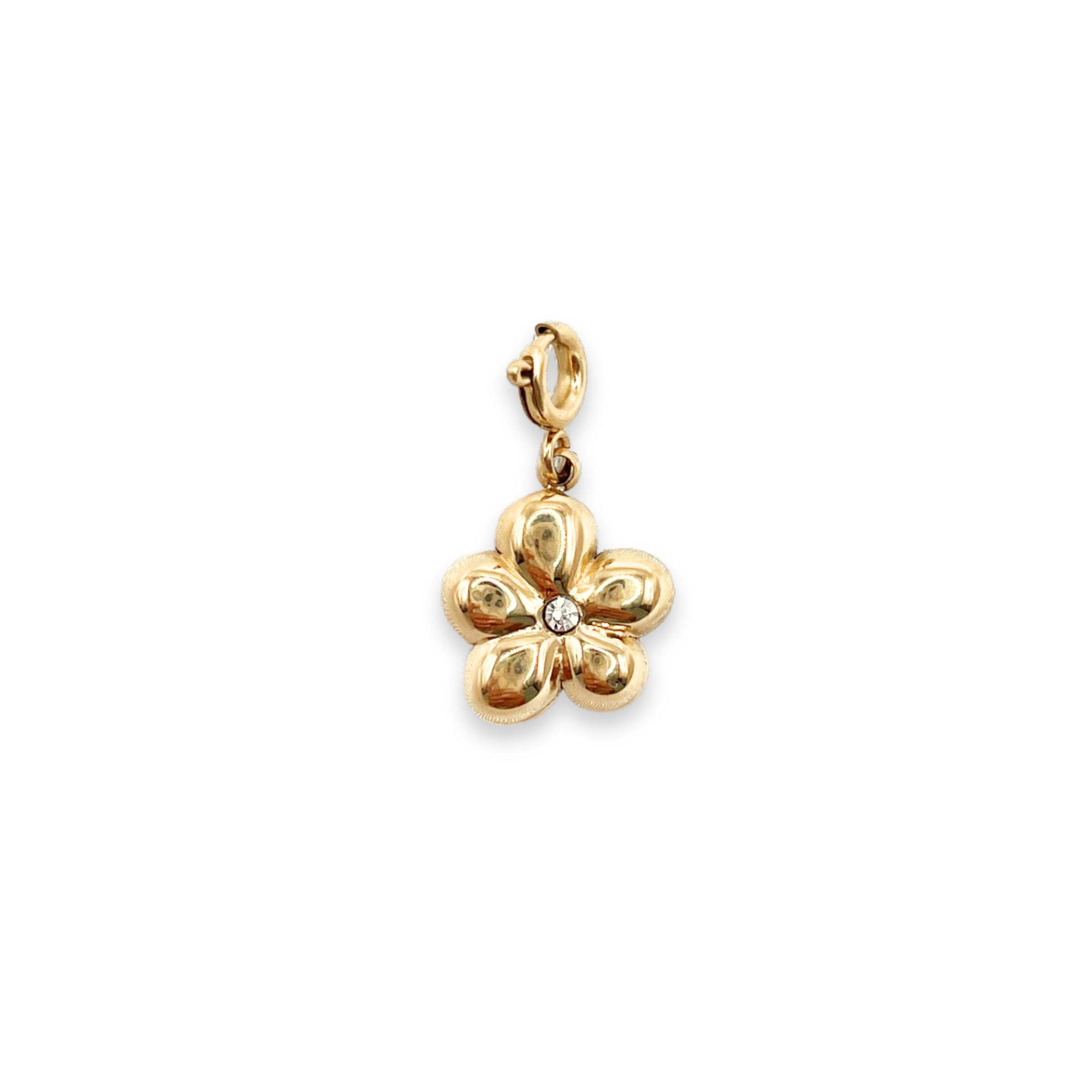 Charm Bloomy Shine