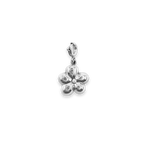 Charm Bloomy Shine