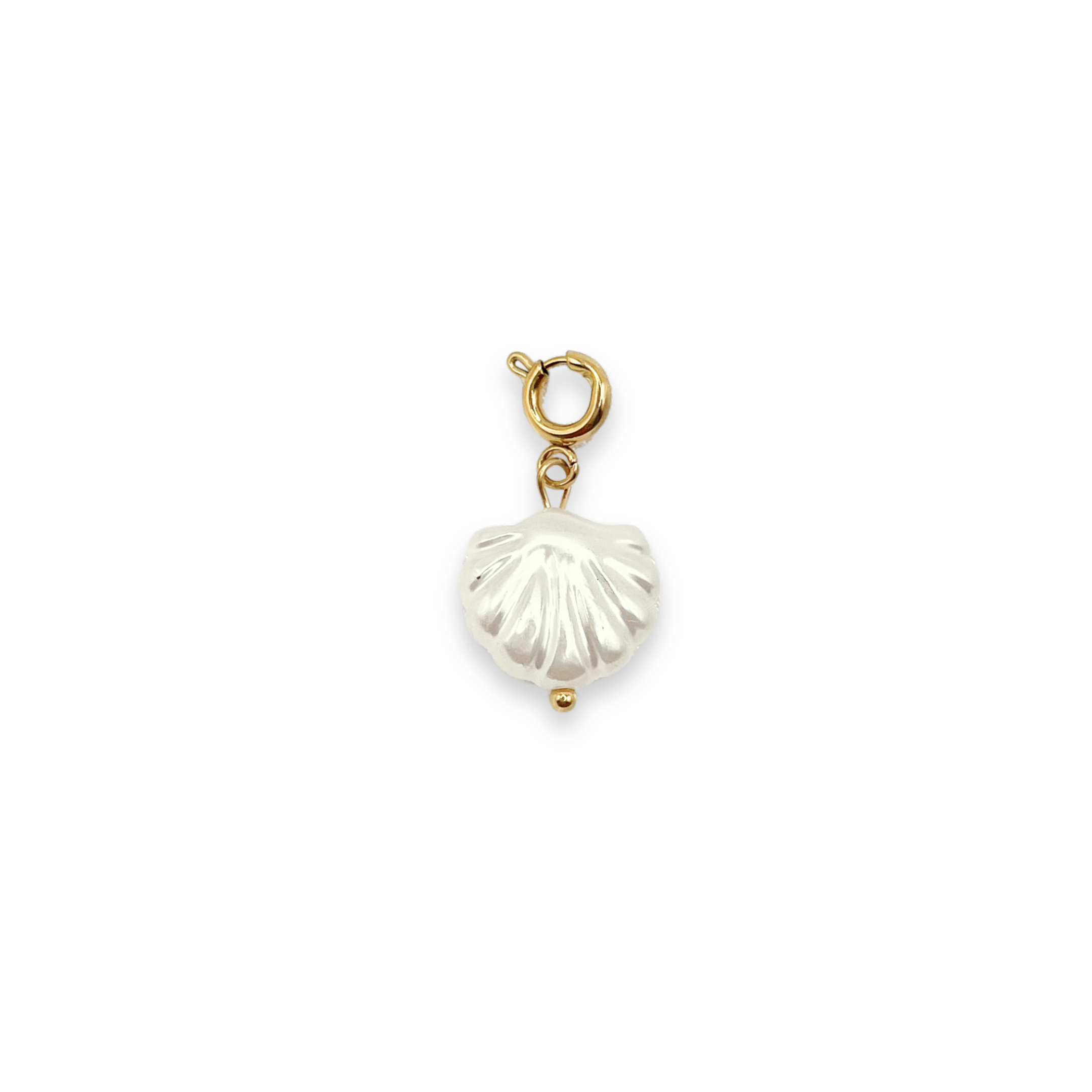 Charm Ocean Shell