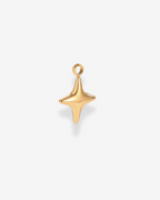 Charm Shiny Star