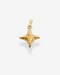 Charm Golden Star