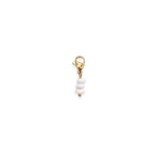 Charm Arctic Beads
