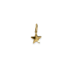 Charm Little Star