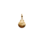 Charm Golden Shell