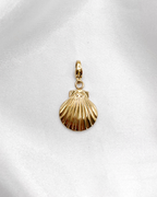 Charm Golden Shell