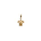 Charm Turtle