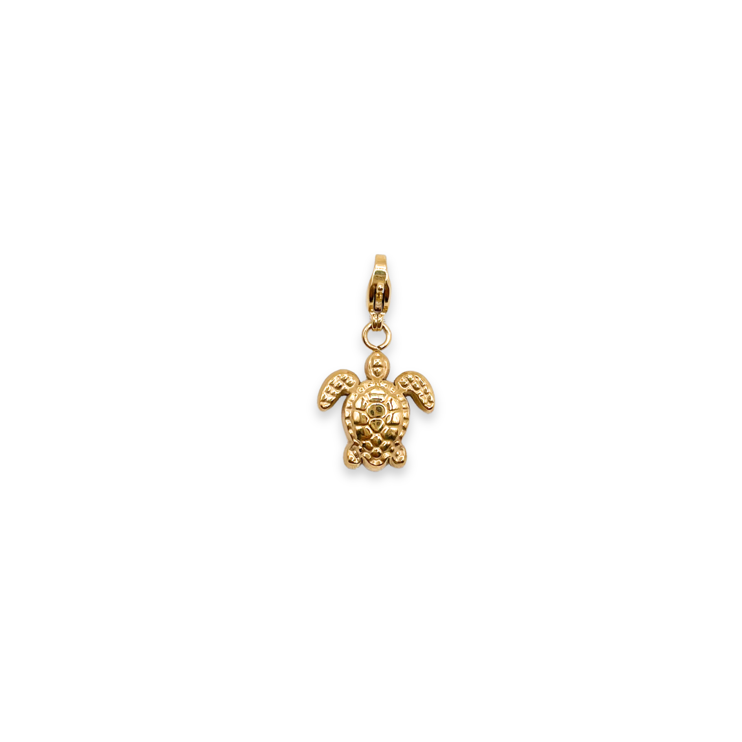 Charm Turtle